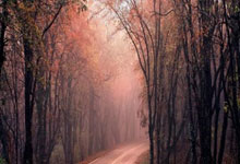 市政项目用地意见函模板 PDF资源免费获取